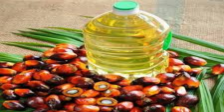 Why palm oil is cheap ?