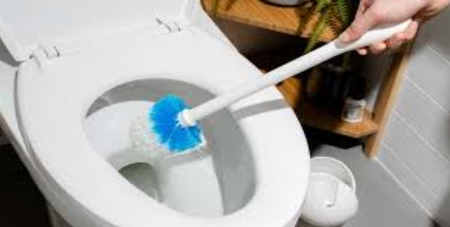 How to Clean the toilet without effort